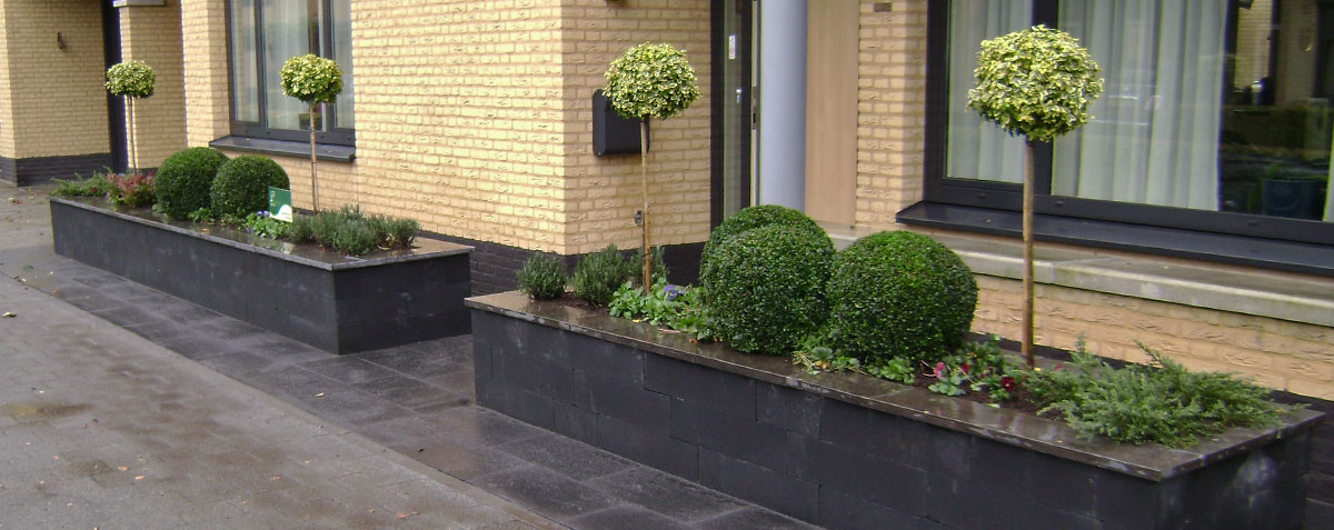 Hovenier Terheijden